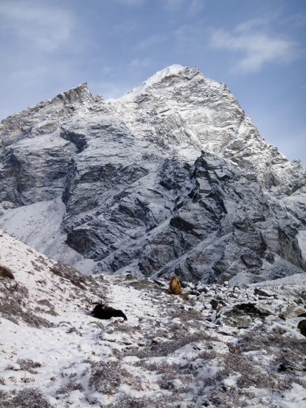 Lobuche